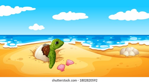 Turtle Eggs Hatch On Sand Illustration