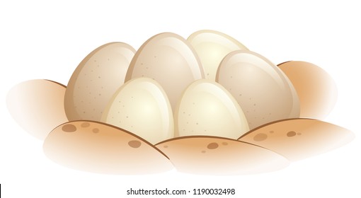Turtle eggs in the sand illustration