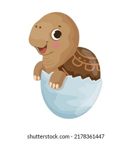 Turtle in eggshell. Colorful children's illustration.