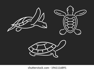 Turtle elements set. Tortoise collection. Outlined graphics useful for logos, signs, symbols, pictograms design. Editable vector illustration in outlined style isolated on a dark grey background.
