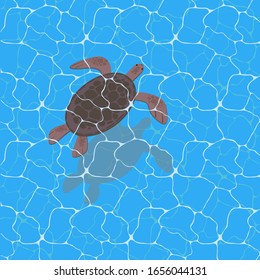 Turtle in the endless ocean