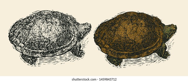 Turtle. Engraving Style. Vector Illustration.