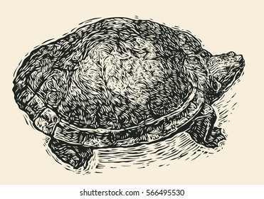 Turtle. Engraving Style. Vector Illustration.