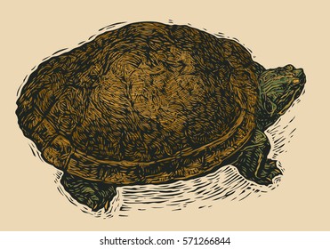 Turtle. Engraving Style. Vector Illustration.