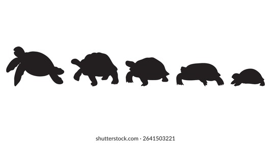 Turtle evaluation silhouette vector. silhouettes of animals