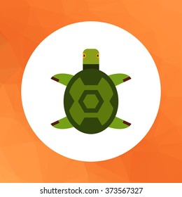 Turtle flat icon
