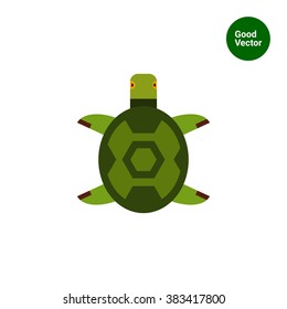 Turtle flat icon