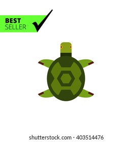 Turtle flat icon