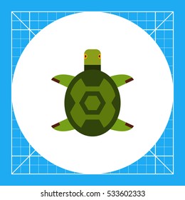Turtle flat icon