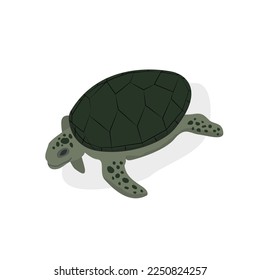 Turtle flat icon. Turtle isometric vector icon for web design isolated on simple white background. Sea green turtle in isometric view with shadow.