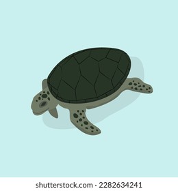 Turtle flat icon. Turtle isometric vector icon for web design isolated on simple blue background. Sea green turtle in isometric view with shadow.