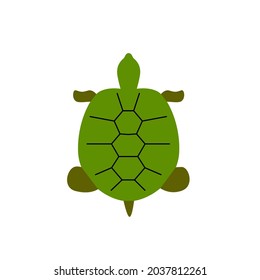 Turtle flat icon. Maldives marine life. Coral island. Exotic vacation. Color filled symbol. Isolated vector stock illustration