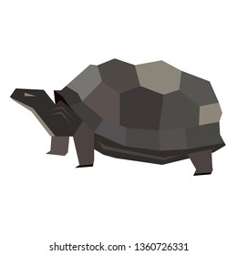 turtle flat illustration