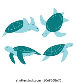 turtle flat illustration and image