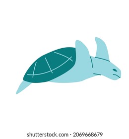 turtle flat illustration and image