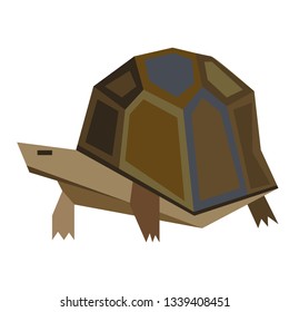 turtle flat illustration isolated on white. Marine and underwater life series