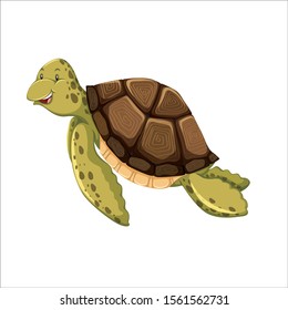 
A turtle flying on a white background