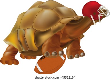 turtle the football player