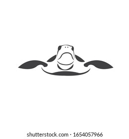 Turtle front view isolated on a white background. Reptile vector illustration.