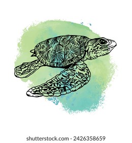 Turtle, graphics. Vector illustration on a blue spot background. Design element for cards, invitations, banners, flyers, covers, labels, posters.