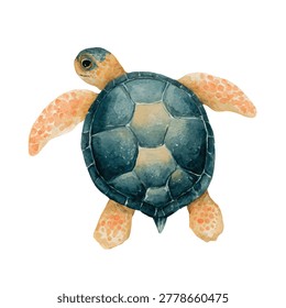 Turtle with green and orange shell