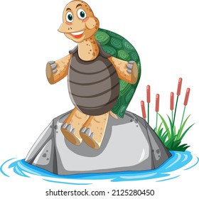 Turtle with green shell sitting on a rock illustration
