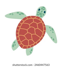 turtle hand drawing illustration on white background