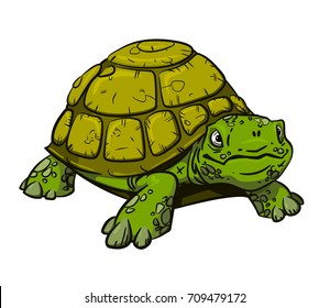 Turtle hand drawn image. Original colorful artwork, comic childish style drawing.