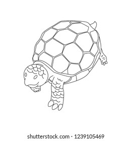turtle hand drawn. tortoise hand drawn