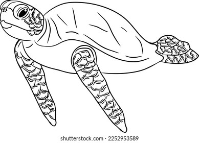 Turtle. Hand drawn underwater creatures. Vector sea life, seafood. Coloring pages with marine animals