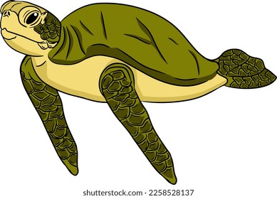 Turtle. Hand drawn underwater creatures. Vector sea life, seafood. Colored marine animals