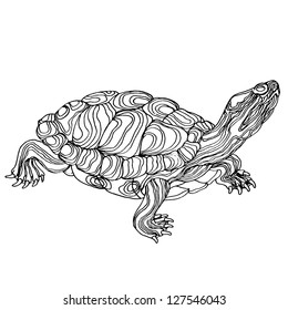 Turtle hand drawn. Vector illustration. Realistic sketch.