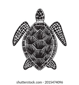 Turtle. Hand-drawn stylized image of turtle. Graphic black and white image isolated on white background. Vector illustration.