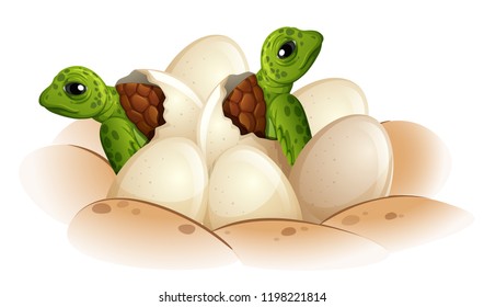 Turtle Hatching The Egg Illustration