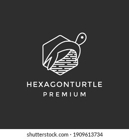 turtle hexagon line logo vector in black background