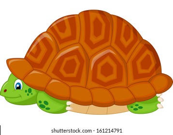 Turtle hiding in his shell