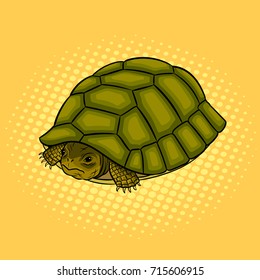 Turtle hiding in its shell pop art retro raster illustration. Comic book style imitation.