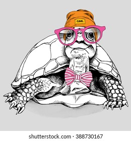 Turtle in a Hipster Hat and with glasses. Vector illustration.