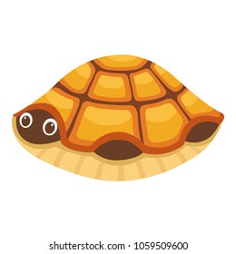 Turtle in house icon. Cartoon illustration of turtle in house vector icon for web