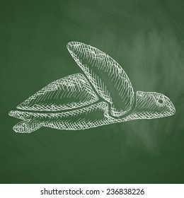 turtle icon