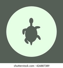 turtle Icon