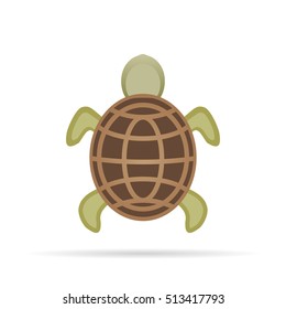 Turtle icon