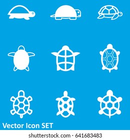 Turtle icon