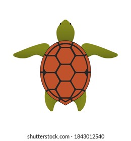 Turtle icon. Cartoon color style drawing. Sea animal. Tortoise symbol. Logo graphic design isolated on white background. Turtle shell of top view. Flat design for decoration. Vector illustration.