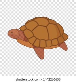 Turtle icon. Cartoon illustration of turtle vector icon for web