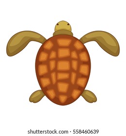 Turtle icon. Cartoon illustration of turtle vector icon for web design