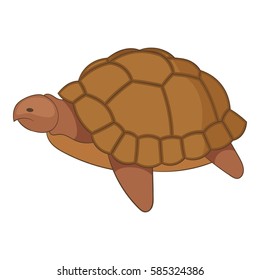 Turtle icon. Cartoon illustration of turtle vector icon for web