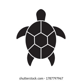 232 Soccer Turtle Images, Stock Photos & Vectors 