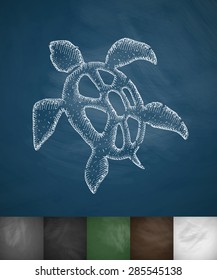 turtle icon. Hand drawn vector illustration. Chalkboard Design