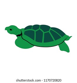 Turtle icon illustration isolated vector sign symbol white background. Animal figure.